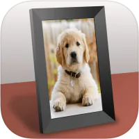 Collage Frame Widget app icon